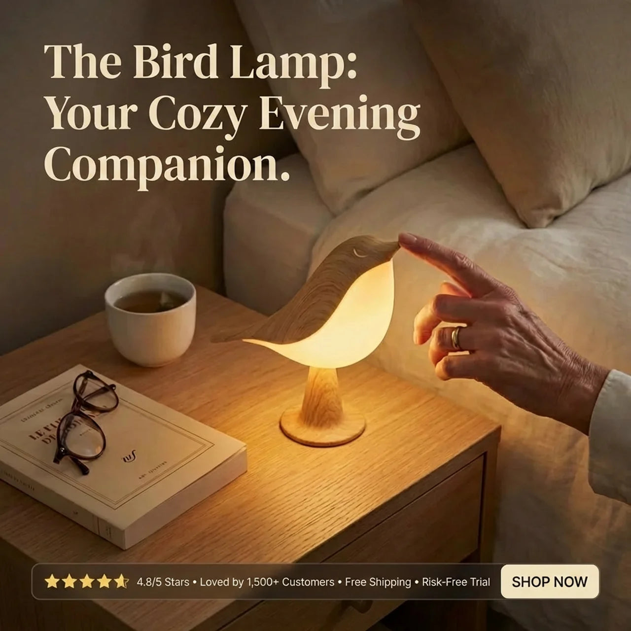 BirdLamp – Cosy Ambient Light